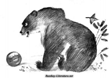 Колобок и медведь